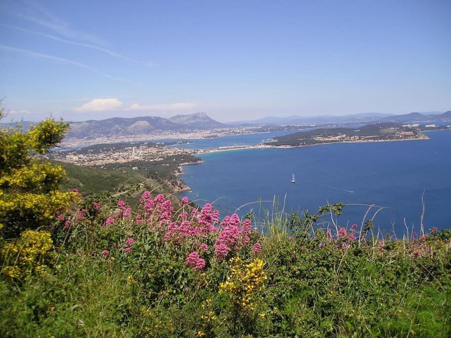 Villa De Charme A 5 Mn Plage La Seyne-sur-Mer Eksteriør bilde