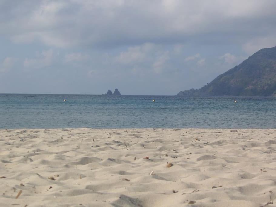 Villa De Charme A 5 Mn Plage La Seyne-sur-Mer Eksteriør bilde